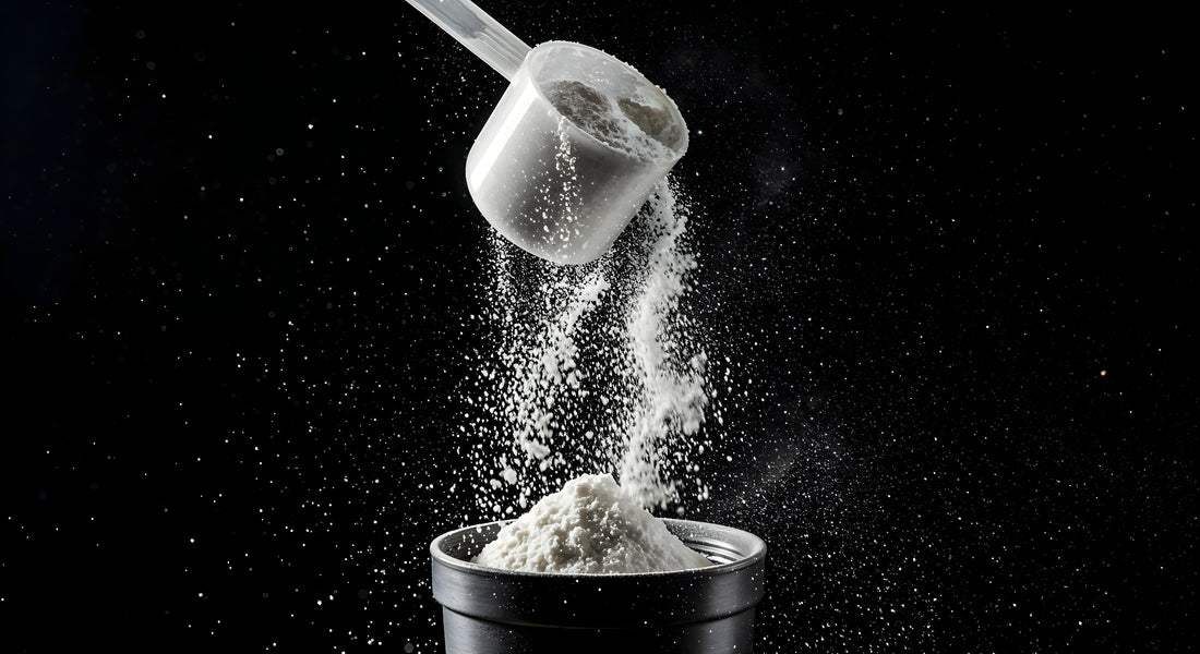 La Créatine : le complément le plus étudié… et l’un des plus utiles pour performer.