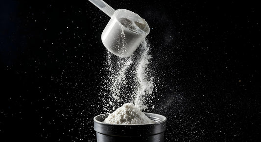 La Créatine : le complément le plus étudié… et l’un des plus utiles pour performer.