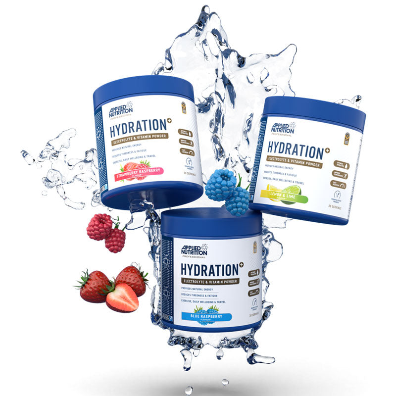 Electrolytes en poudre