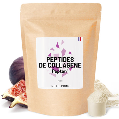 Peptide de collagène Peptan®